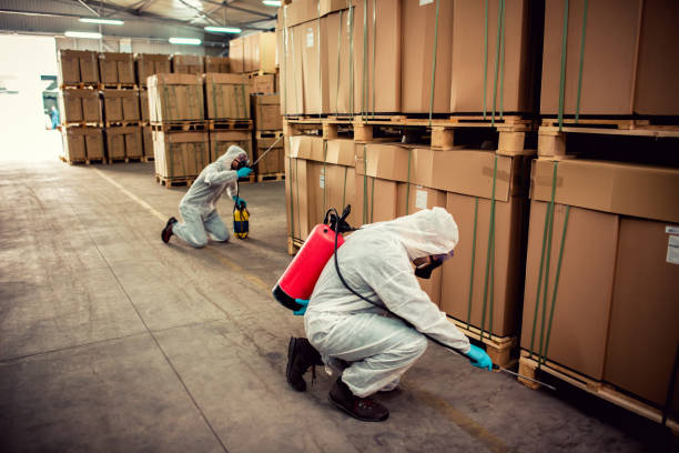 Best Pest Control Cost  in Hamilton Square, NJ