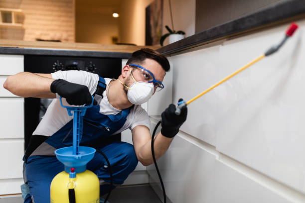 Best Pest Control Near Me  in Hamilton Square, NJ