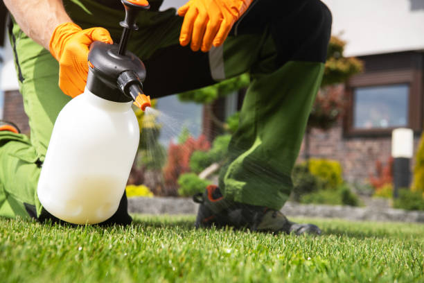 Best Pest Control Near Me  in Hamilton Square, NJ