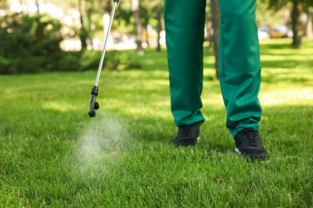Wildlife Control Services in Hamilton Square, NJ
