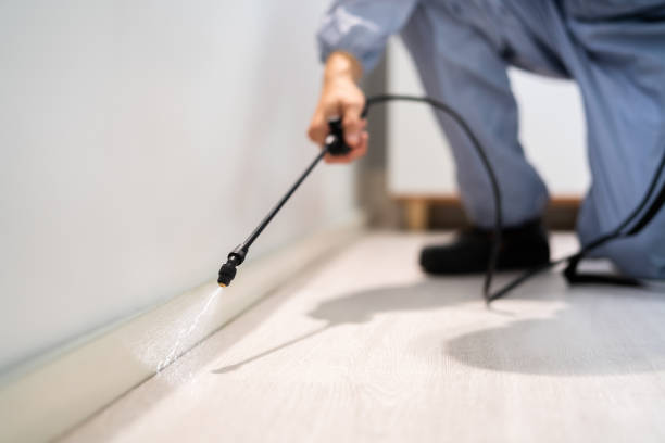 Best Residential Pest Control  in Hamilton Square, NJ