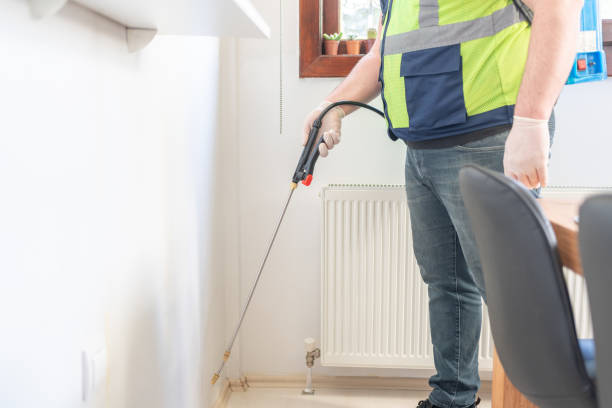 Best Wasp Removal Services  in Hamilton Square, NJ