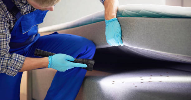 Best Best Pest Control Companies  in Hamilton Square, NJ