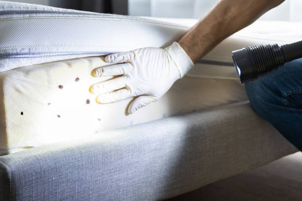 Best Affordable Pest Control Services  in Hamilton Square, NJ