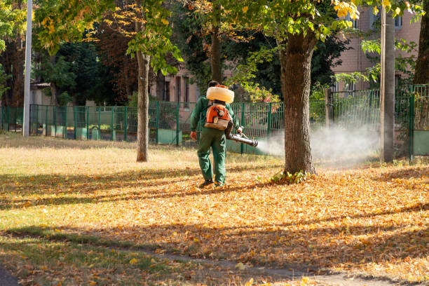 Best Best Pest Control Companies  in Hamilton Square, NJ