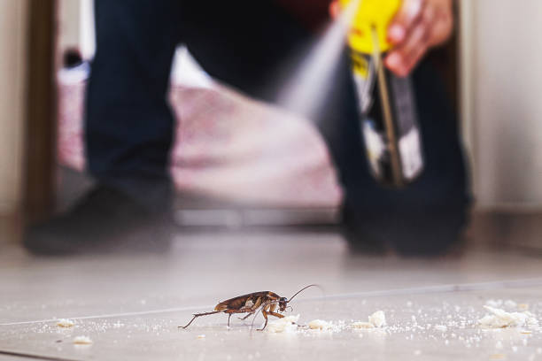 Best Mosquito Control Services  in Hamilton Square, NJ