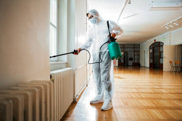 Best Wasp Removal Services  in Hamilton Square, NJ