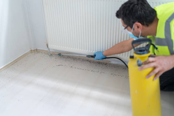 Reliable Hamilton Square, NJ Pest Control Solutions