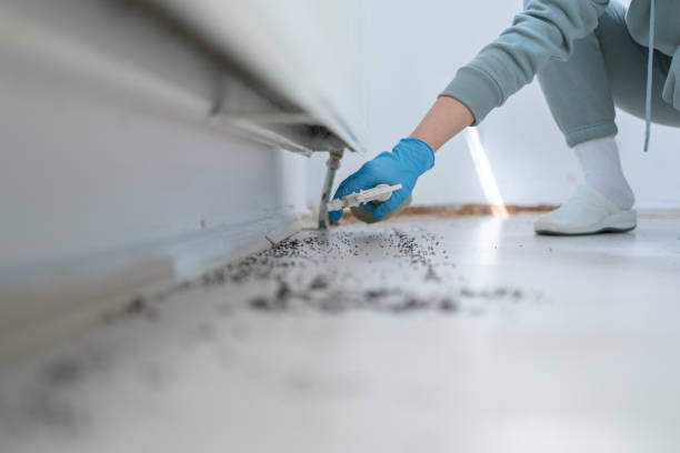 Best Cockroach Control Services  in Hamilton Square, NJ