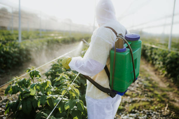 Best Affordable Pest Control Services  in Hamilton Square, NJ